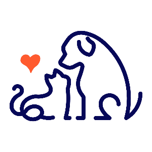 Image of Intuitive Animal Communicator Image of Intuitive Animal Communicator